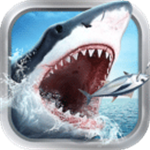 国外的软件在哪儿下载